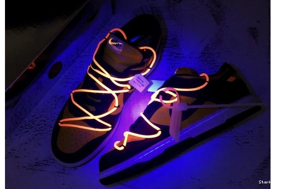 CT0856-700 Nike Michigan Dunk O-W Low 0203